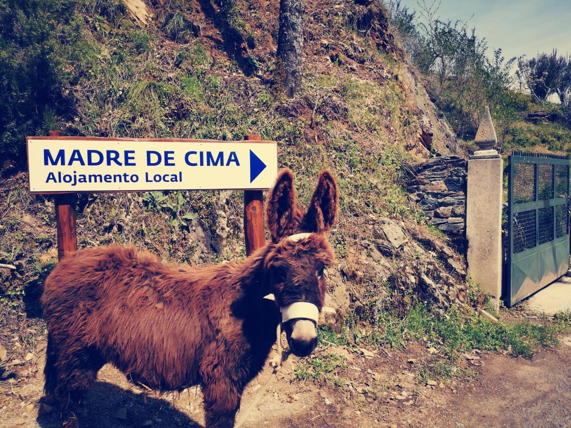 Alojamento Local Madre De Cima Vinhais Eksteriør bilde
