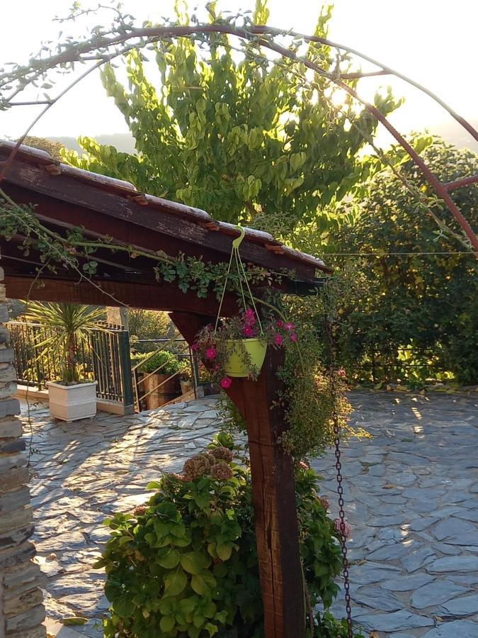 Alojamento Local Madre De Cima Vinhais Eksteriør bilde